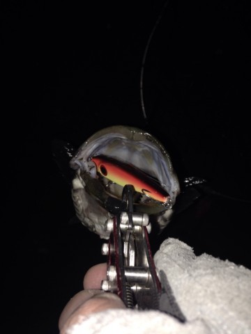 4uwsbirpkcoazkn3xwty_690_920-af94582f.jpg