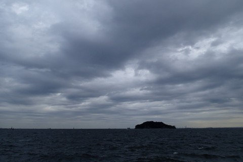 4uz7fo88b9v3pkdgx8x3_480_480-58e80955.jpg