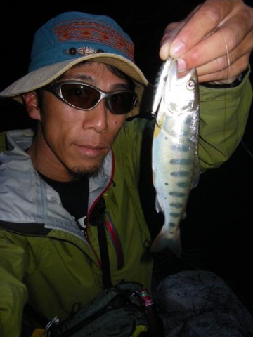 4v6k5mfnoi4ff42kx39f_480_480-b7cf70b9.jpg