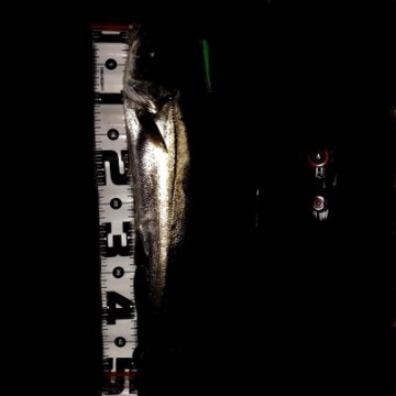 4vjr5b33cnb9sya6zmye_400_400-ec0128f3.jpg