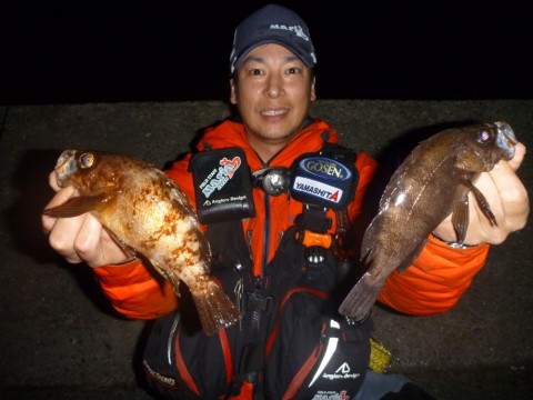 4w5jgrrts9kb4yhito6k_480_480-7a822519.jpg