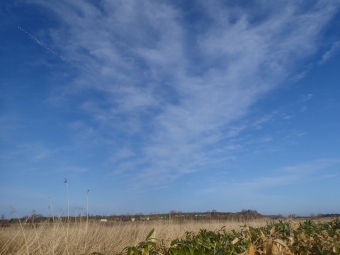 4wcrekbnjyx86kzo7kco_920_690-a670d905.jpg