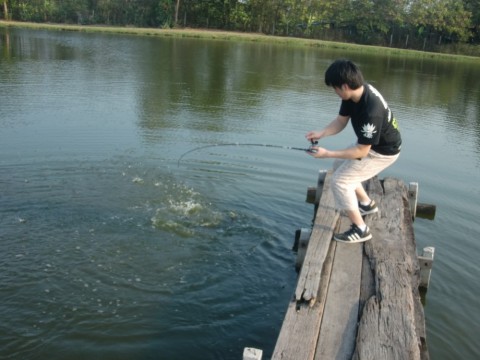 4wi5c9b724uoyh8dp75o_480_480-f035728b.jpg