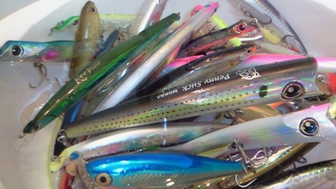 4wocjrgpdm3pin4jr6vd_480_480-4b9ccd8f.jpg