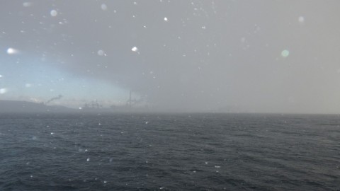 4wxai73gwdxb9fvun4gn_480_480-fa5e0aca.jpg