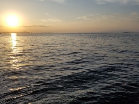 4wz6d8w5ggxc8kr62v7d_480_480-1d769041.jpg