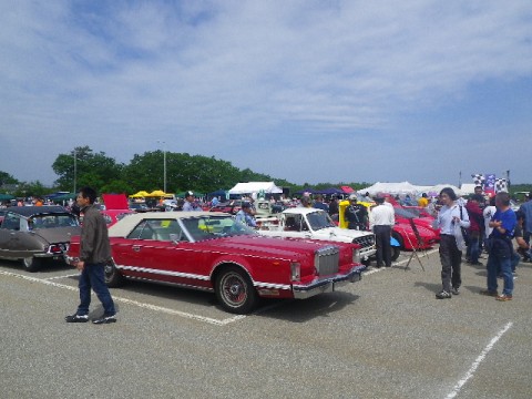 4xbnzxeb78raizuvf8we_480_480-653293b5.jpg