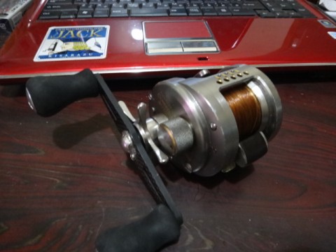 4xj9k32uch54n6sx6v7x_480_480-0ea45fca.jpg