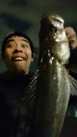 4xji4m97jp6dppnsia6i_518_920-1e801cb4.jpg