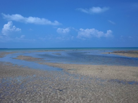 4xn8ta3hukzs9e8o5sxx_480_480-9b667993.jpg