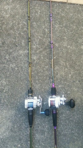 4xvdvtpnsb83cbas2vre_480_480-edc607bd.jpg