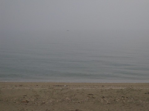4y9xdstchmbj9aehw5x3_480_480-757e95a5.jpg