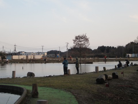 4ymxbud5ztevsmjkjv4h_480_480-cbf57913.jpg