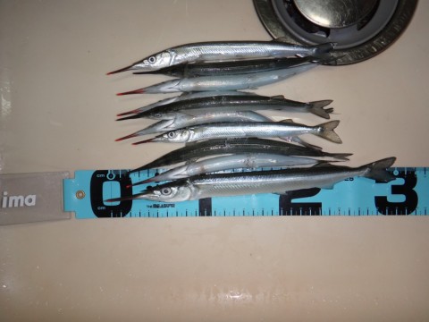 4zevx48bmssow2wbkndp_480_480-8219cac8.jpg