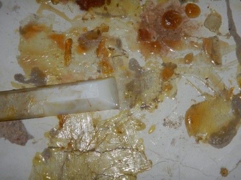 4zmoh8emthh39kb754d5_480_480-d06eea6e.jpg