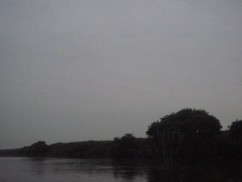 4zn8gjnf3xor7yddog9s_480_480-ec511e6b.jpg