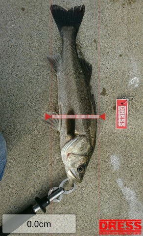 524kyun2n8yhszstesj8_480_480-6b63c2e6.jpg