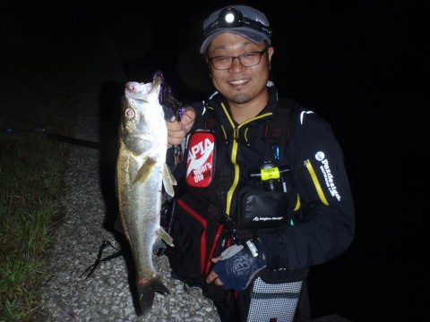 527bvby7biwx7bhhopc7_480_480-0e657445.jpg