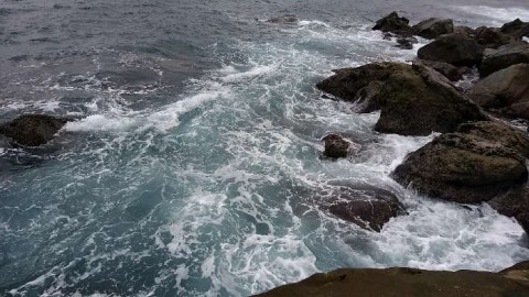 529y9bdxmvz3cnnc2r98_480_480-1b09f09c.jpg