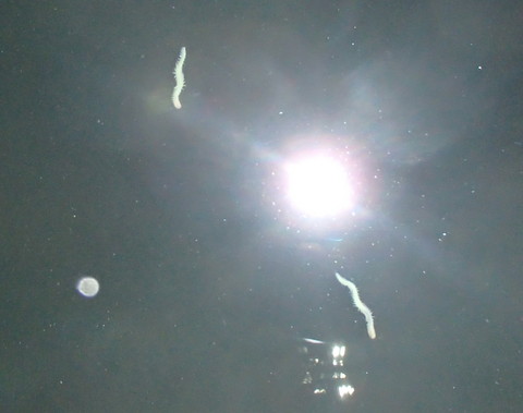 52od7ij8tov4mmp3iska-5ed683d7.jpg