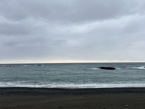 52u23xenotury4dsx5uz_480_360-a10318f7.jpg