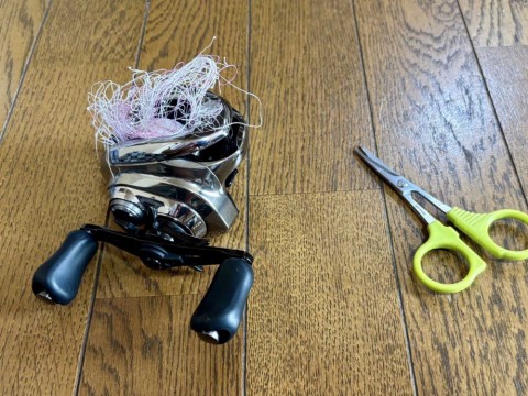 52xs83sztary8phks799_480_480-eb1c6c9c.jpg
