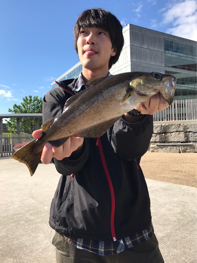 Rider S Fishing Journey ノルウェーの釣り Rider S Fishing Journey ノルウェーの釣り