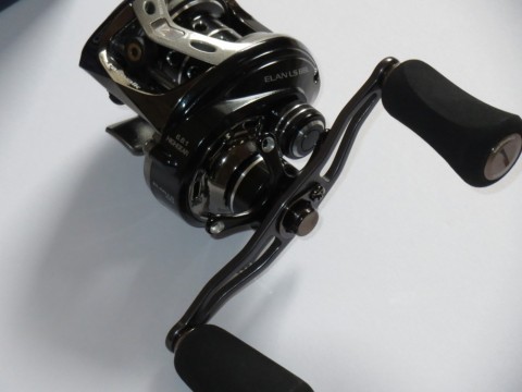 5389dmx5e6m9nsejbnc3_480_480-8eb29229.jpg
