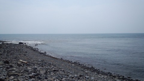 538vvniiubjtzzdw89y8_920_518-57146661.jpg