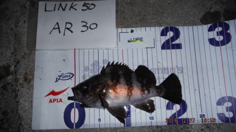 539eus3aoxzfpha9xwjr_480_480-da2ca549.jpg