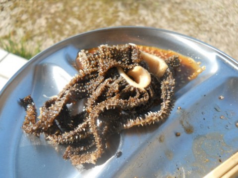 53c38vfi7imh44cijk83_480_480-aac30580.jpg