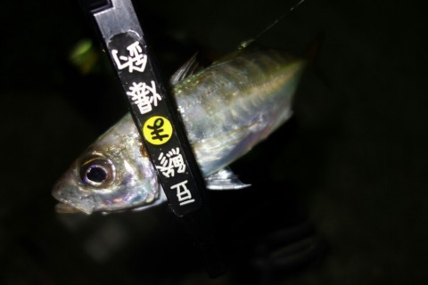 53o5gxex7jjinkxmma6h_920_613-c719a865.jpg