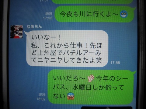 53pjx7zeki822oet8exw_480_480-5f00790b.jpg