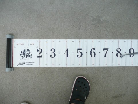 53tiar3hzcwebvfkbzni_480_480-3f38c8eb.jpg