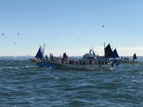 549dypoivgoyvaoyw9o2_920_690-84e53ff2.jpg