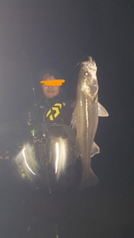 549scawha9oyn37u7uwx_480_480-e5e462b2.jpg