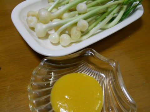 54jxf2b9f8fucwp5di3y_480_480-9a018cbc.jpg