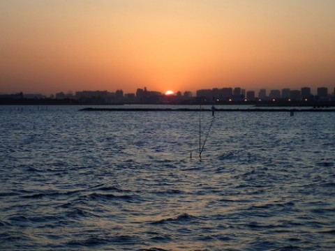 54otbze2sbrur6p8494x_480_480-303a0284.jpg