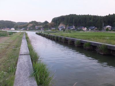 54z59sddsvwuj3ctdpha-3dcdc560.jpg
