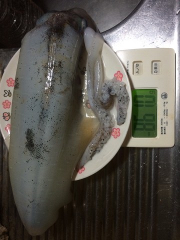 5539uzuunbngepdk8tnd_690_920-bf381a6d.jpg