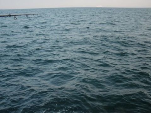 5547prrkbwy7wbsxc73m_480_480-99b5b4dd.jpg
