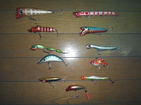 554wyn5adv9ywoy8fuib_480_480-a6daa850.jpg