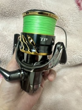 55m42kx2rop7egncab4e_360_480-12e08d62.jpg
