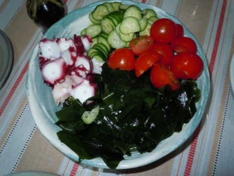 55patmo8ye83zv5u8ahj_480_480-a157d16d.jpg
