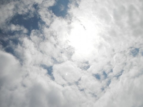 55r7dcrao4y2tor29v8r_480_480-fa6a4557.jpg