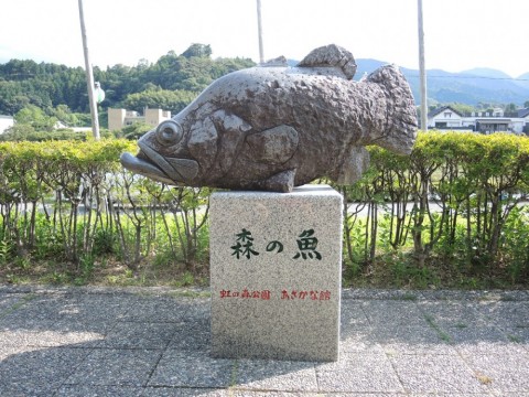 55su53eavzwt4u5tbntp_480_480-c7297587.jpg