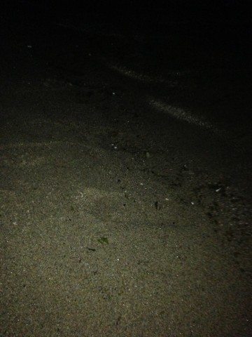55t2afn3kkrbsvcctfyb_690_920-ca033d35.jpg