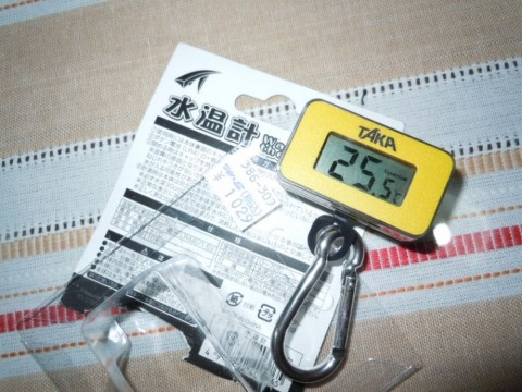 55w9b5jux36wesbggtop_480_480-1b0194ac.jpg