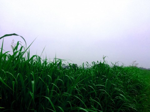55zkcuowpxhaom7cjtfr_480_480-d21b038e.jpg