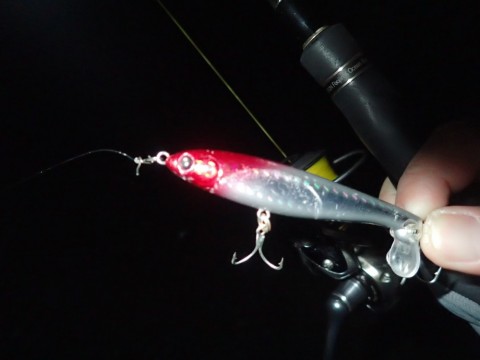 55zt4e34jytjmdahz5mt_480_480-30b8135b.jpg